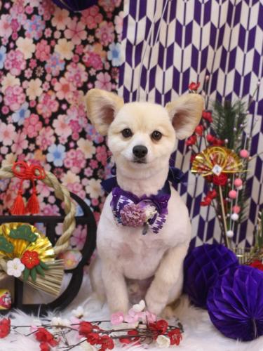 20250108ぽんずくん